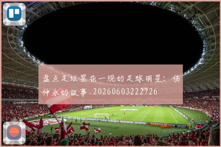 盘点足坛昙花一现的足球明星：伤仲永的故事_20260603222726