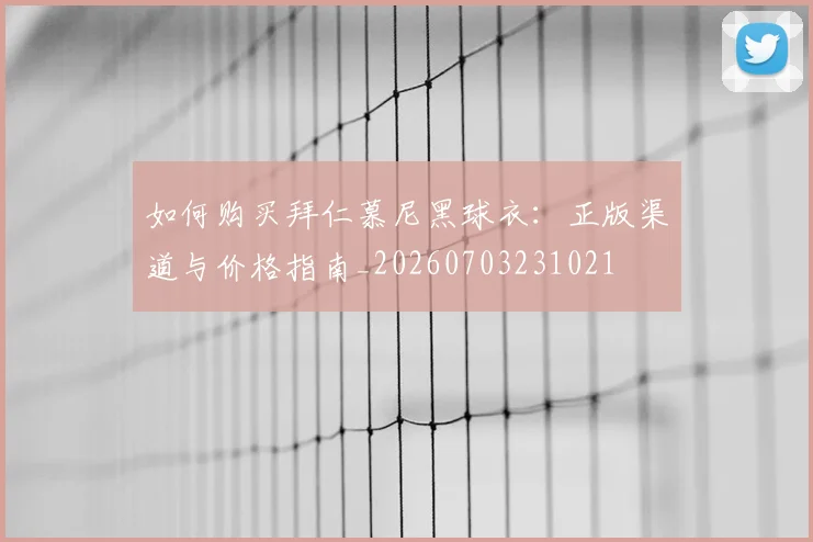 如何购买拜仁慕尼黑球衣：正版渠道与价格指南_20260703231021