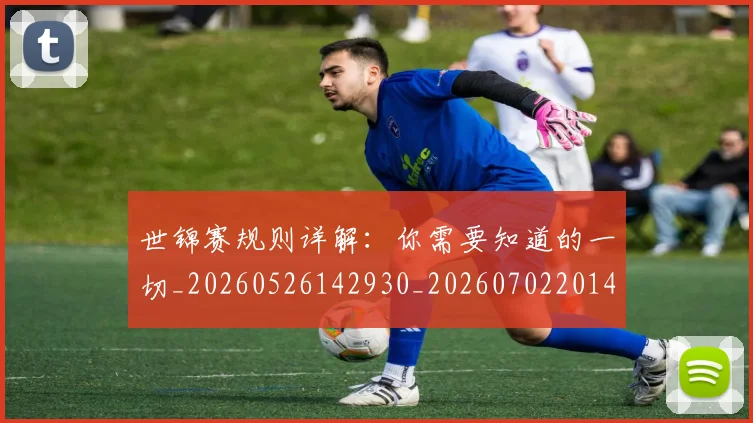 世锦赛规则详解：你需要知道的一切_20260526142930_20260702201424
