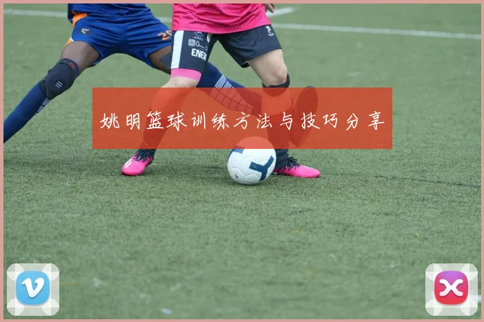 姚明篮球训练方法与技巧分享
