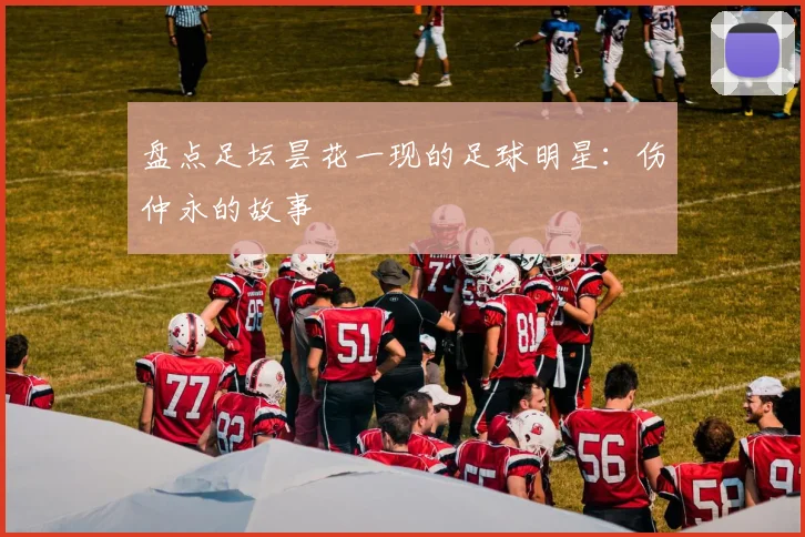 盘点足坛昙花一现的足球明星：伤仲永的故事
